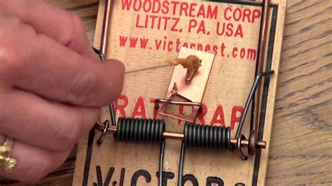 victor rat trap instructions.